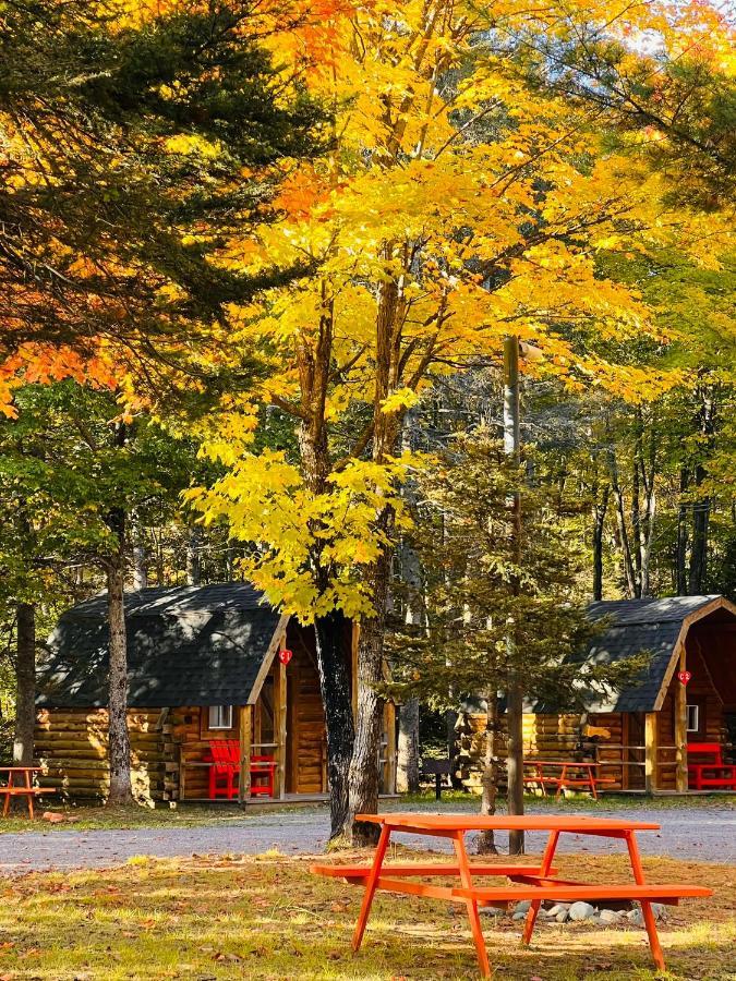 Glenview Cottages Су-Сент-Мари Экстерьер фото